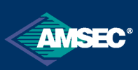 We prefer AMSEC security safes
